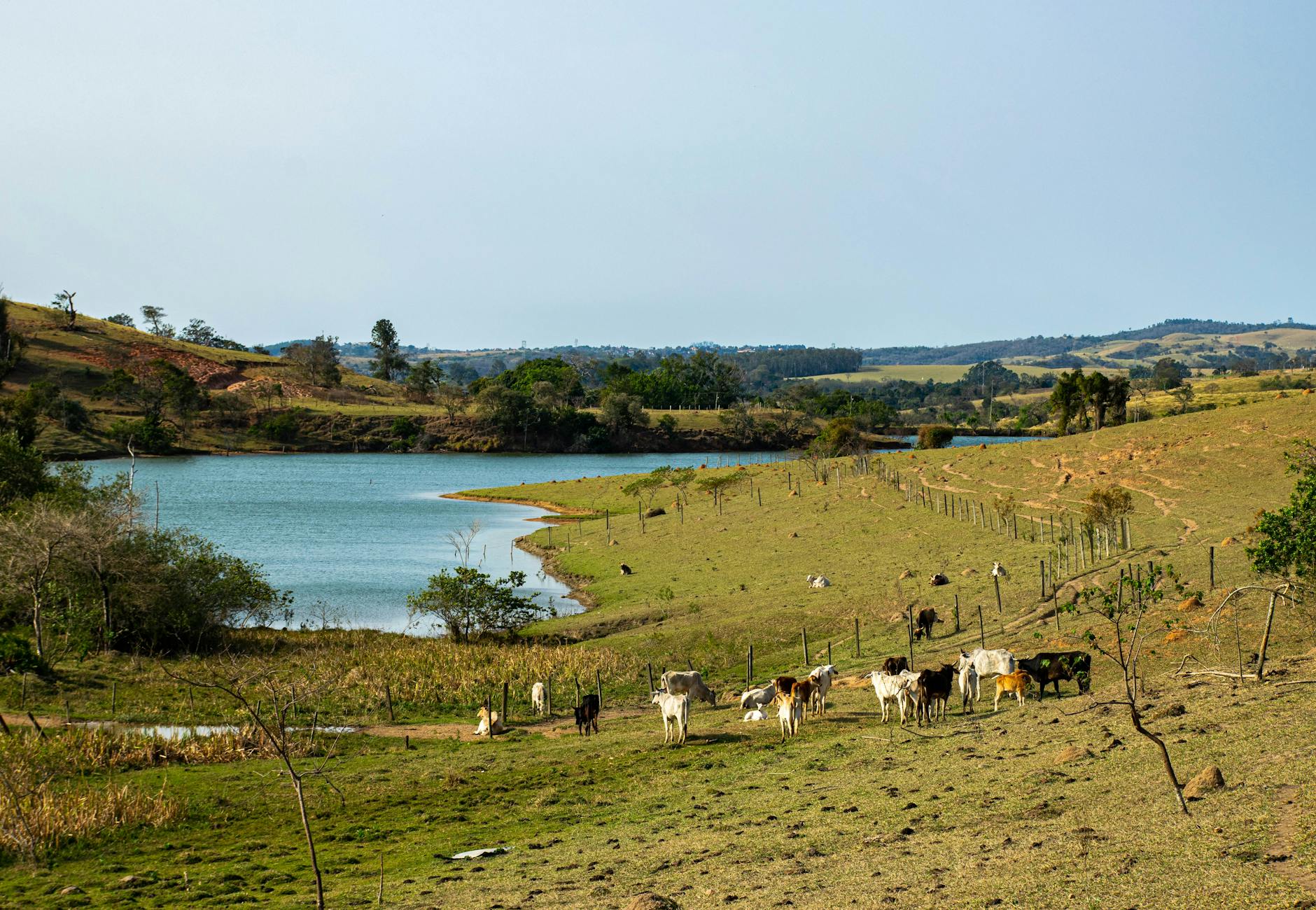 Lagoa do Taquaral em Campinas - Brasil