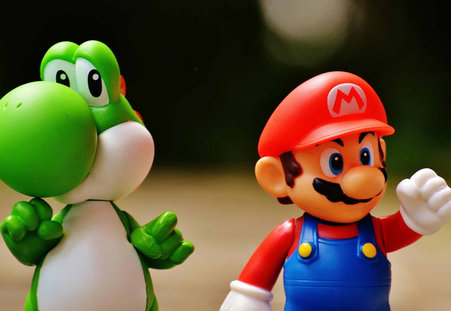 Parque Ecológico Mario do Canto em Itaquaquecetuba - Brasil
