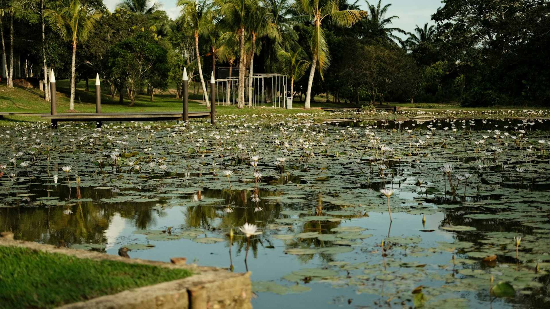Parque Aquático Veneza Water Park em Paulista - Brasil