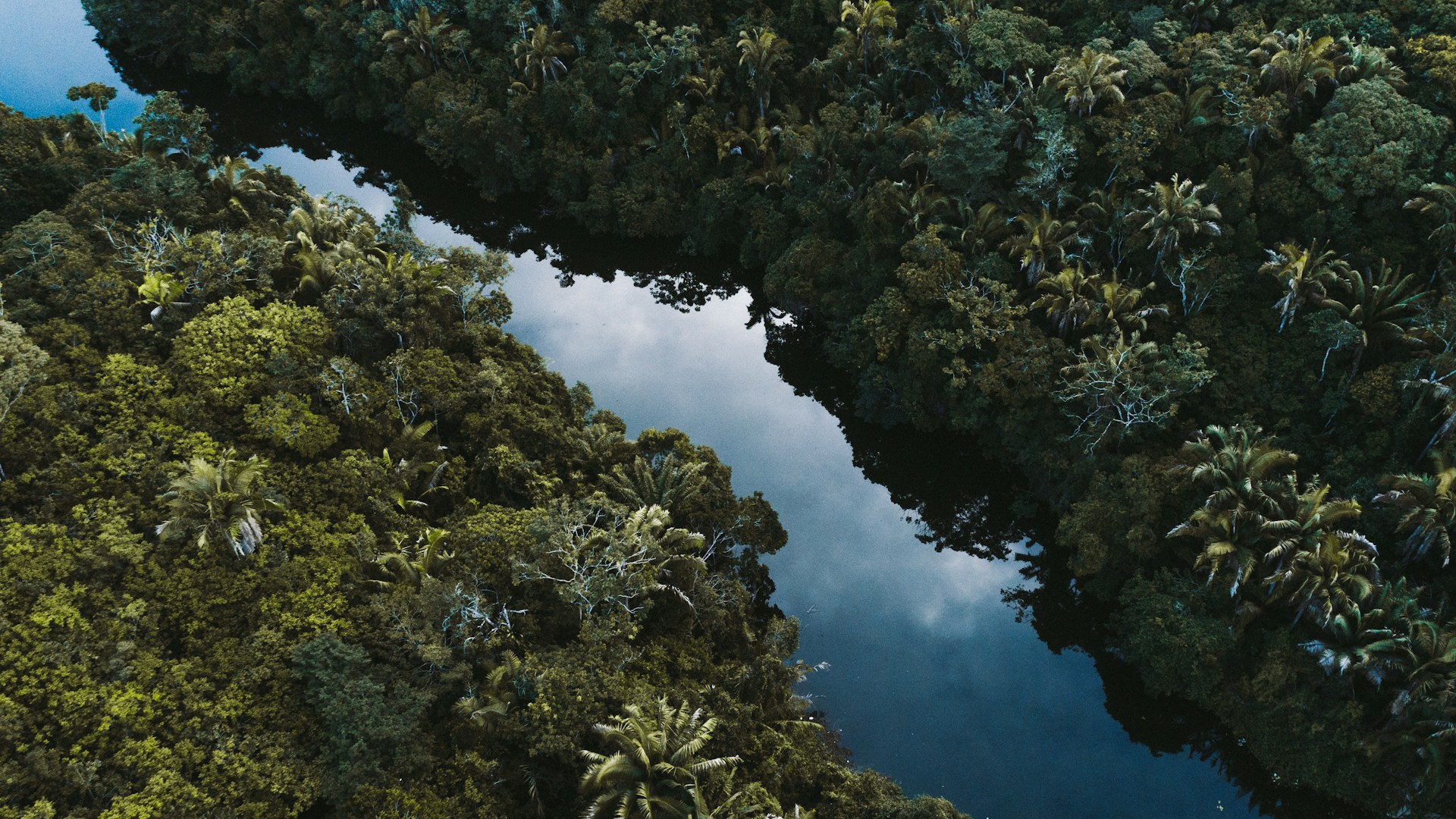 Reserva Florestal do Poço Escuro em Vitória da Conquista - Brasil